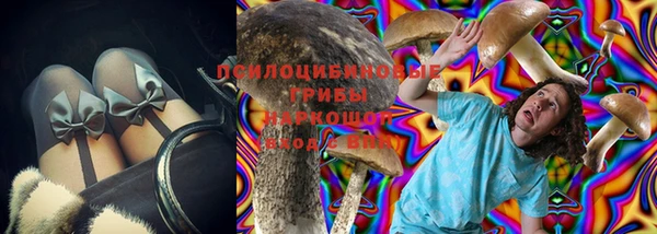 гидропоника Краснослободск