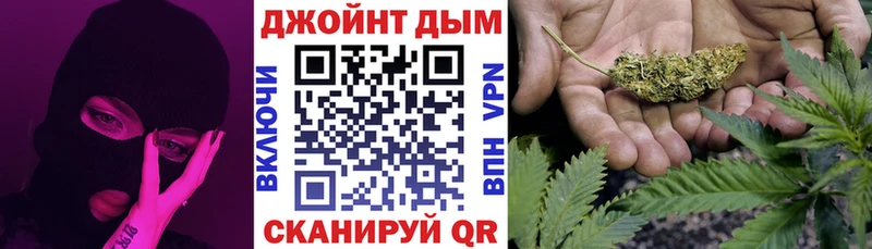 Купить закладки  Вязьма  Канабис гибрид 